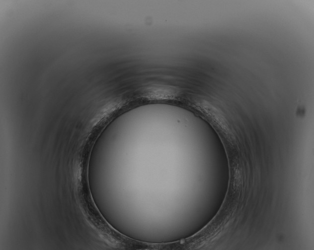 X0000097980539200804011747