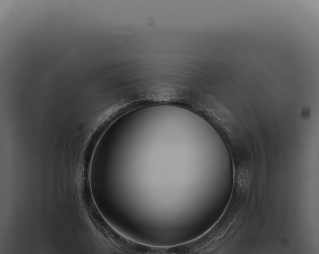 X0000097980540200804011747
