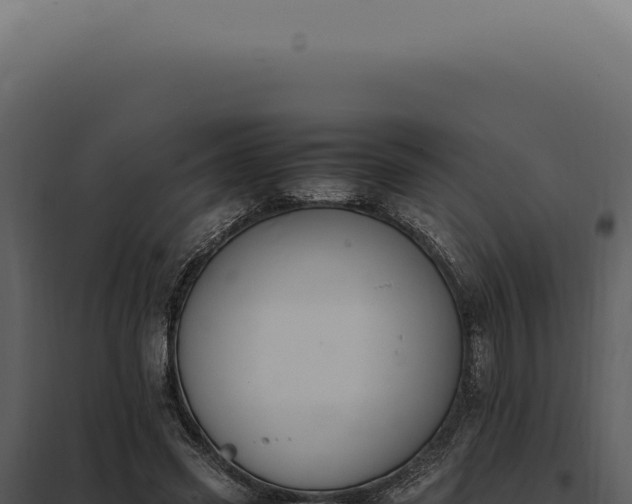 X0000097980541200804011747