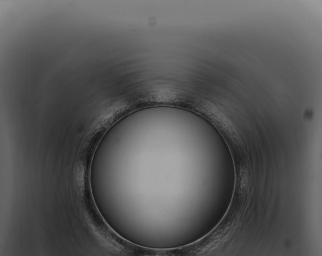 X0000097980542200804011747