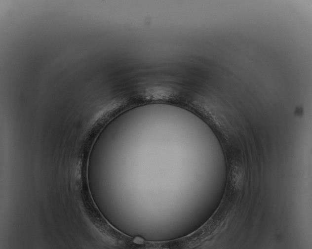 X0000097980543200804011747