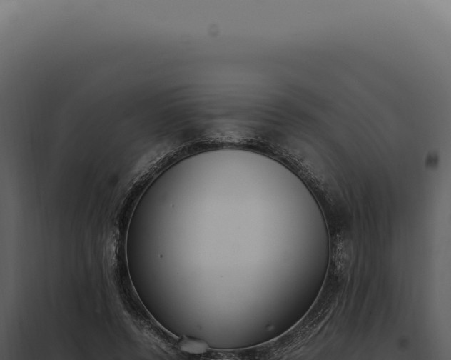 X0000097980544200804011747