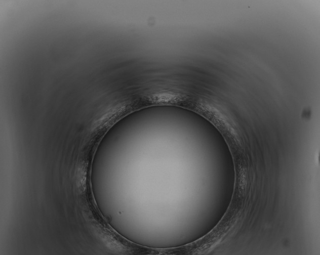 X0000097980545200804011747