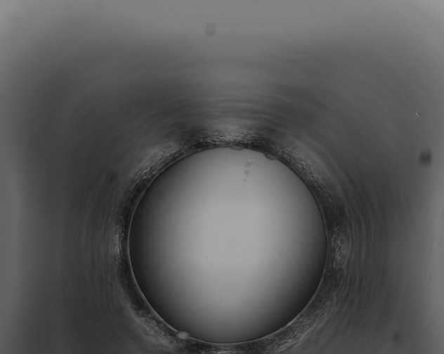 X0000097980546200804011747