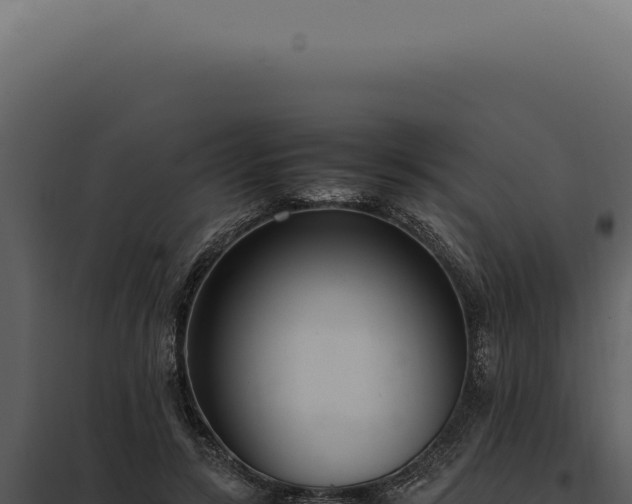 X0000097980547200804011747
