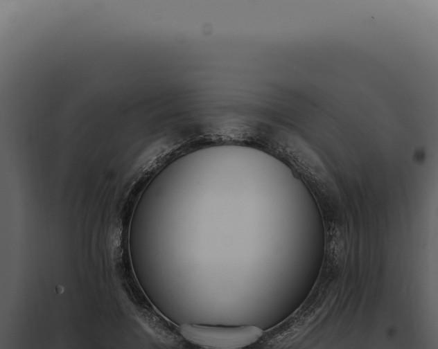 X0000097980548200804011747