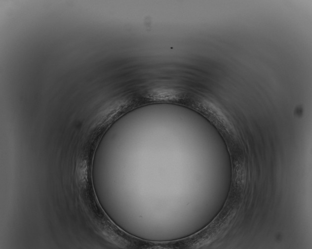 X0000097980549200804011747