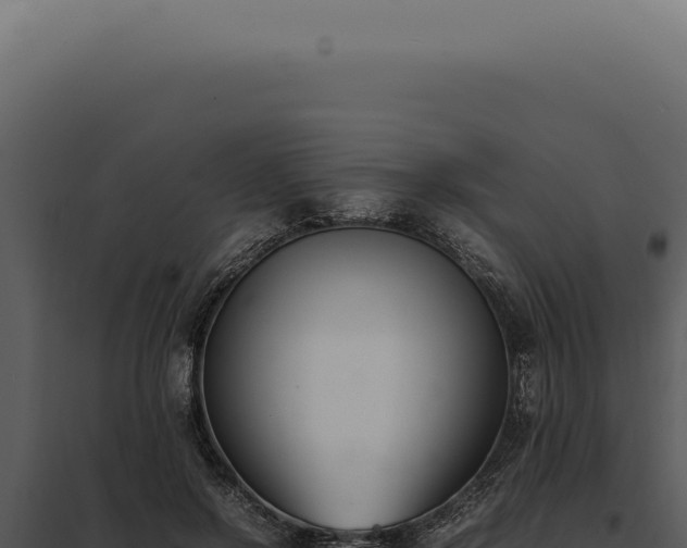 X0000097980550200804011747