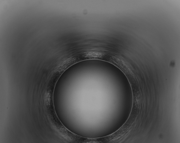 X0000097980551200804011747