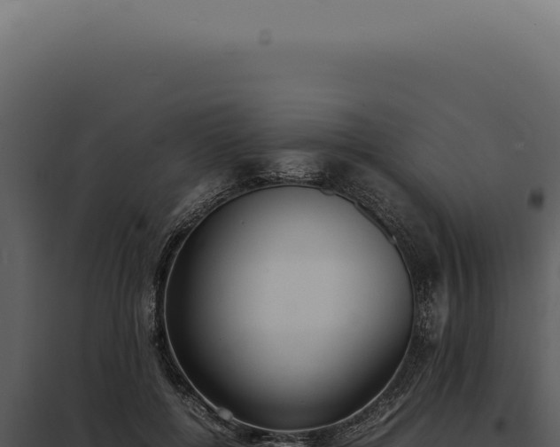 X0000097980552200804011747