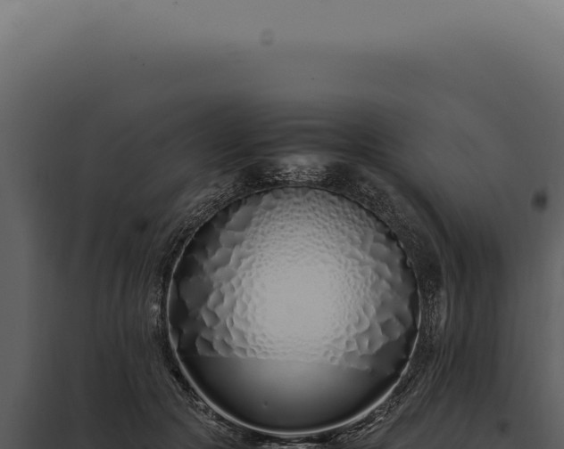 X0000097980553200804011747