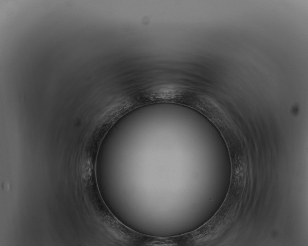 X0000097980555200804011747