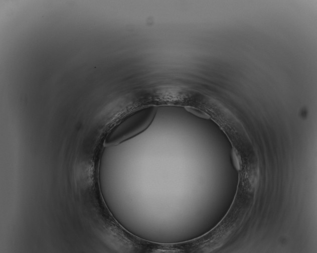 X0000097980556200804011747