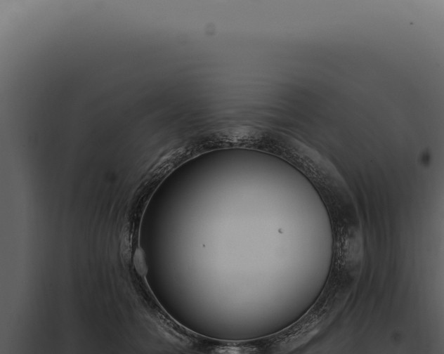 X0000097980558200804011747