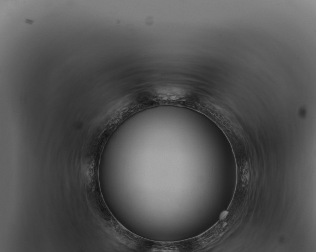 X0000097980559200804011747