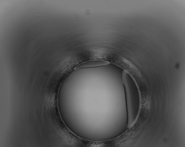 X0000097980560200804011747