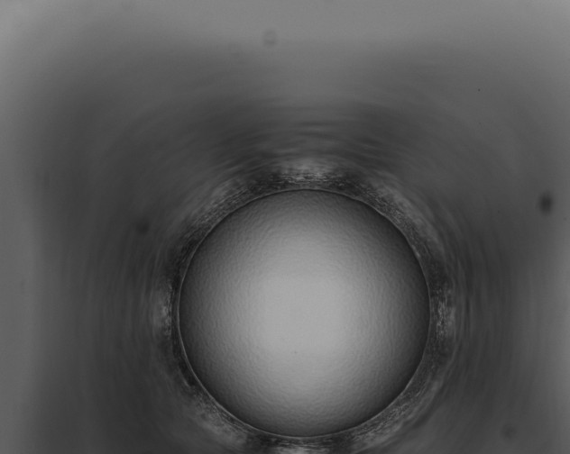X0000097980561200804011747