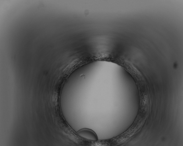X0000097980565200804011747
