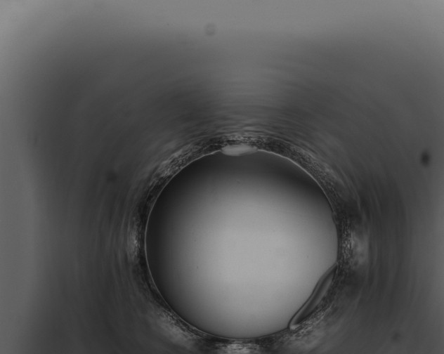 X0000097980566200804011747