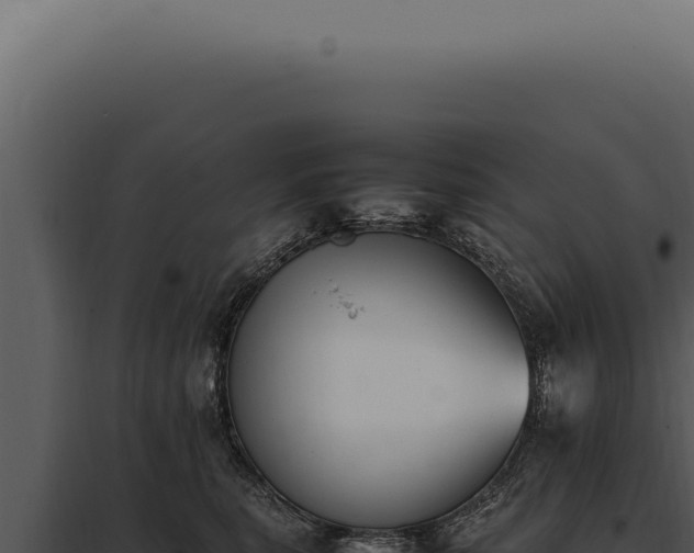 X0000097980567200804011747
