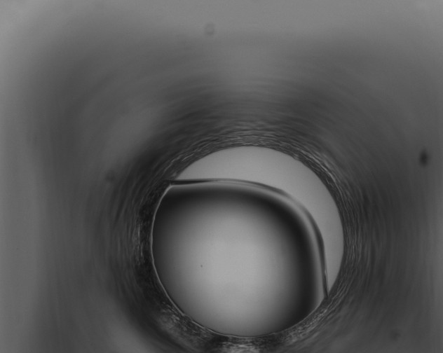 X0000097980572200804011747