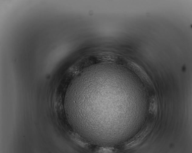 X0000097980573200804011747