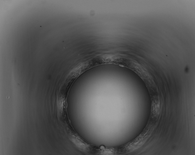 X0000097980574200804011747