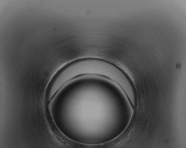 X0000097980580200804011747