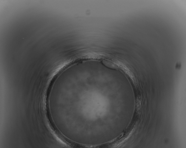 X0000097980581200804011747