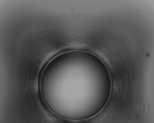 X0000097980582200804011747