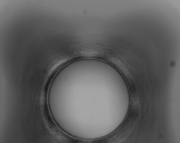 X0000097980583200804011747