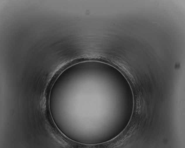 X0000097980584200804011746