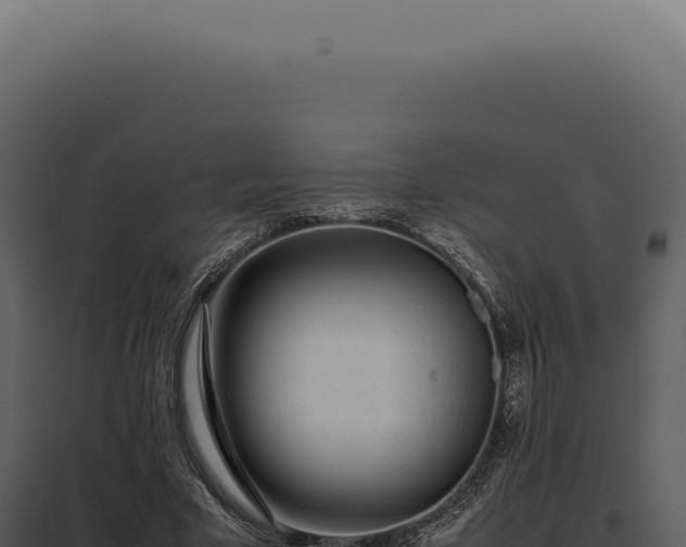 X0000097980585200804011746
