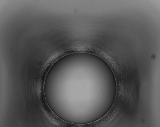 X0000097980586200804011746