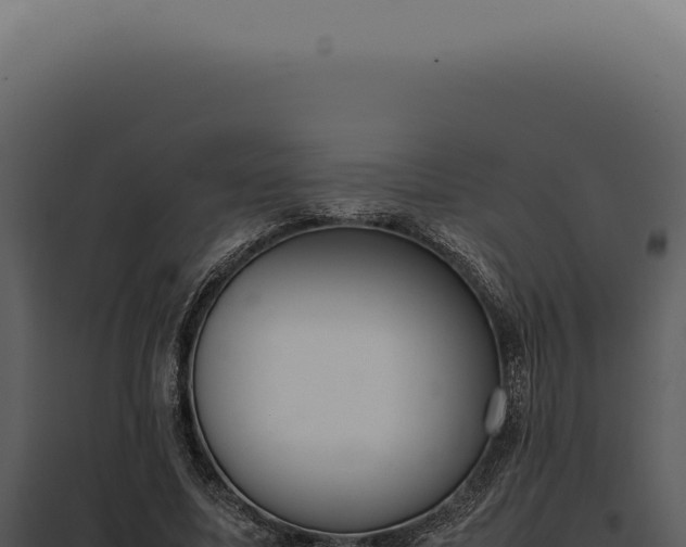 X0000097980587200804011746