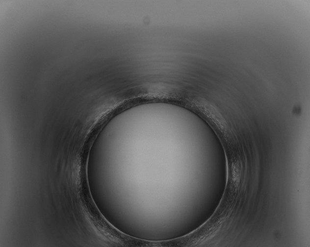 X0000097980588200804011746
