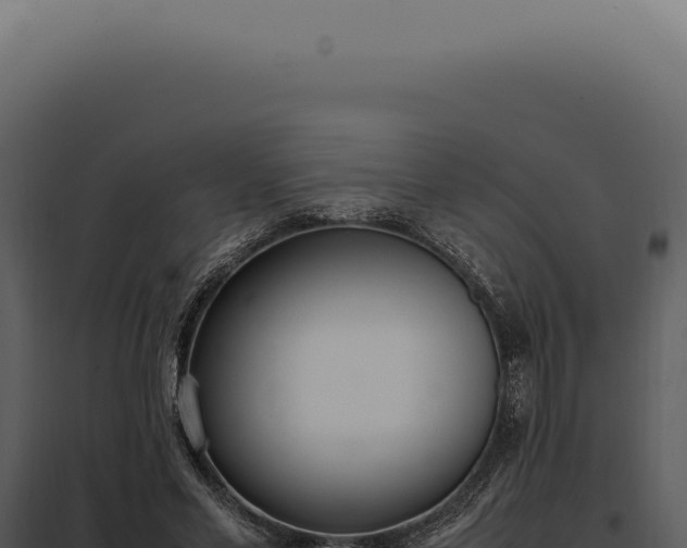 X0000097980589200804011746