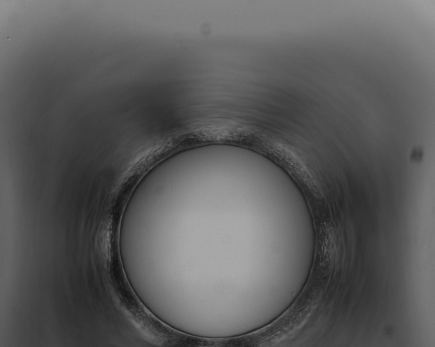 X0000097980590200804011746