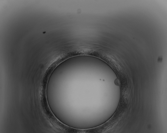 X0000097980591200804011746