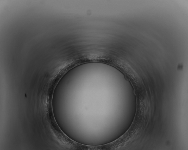 X0000097980592200804011746