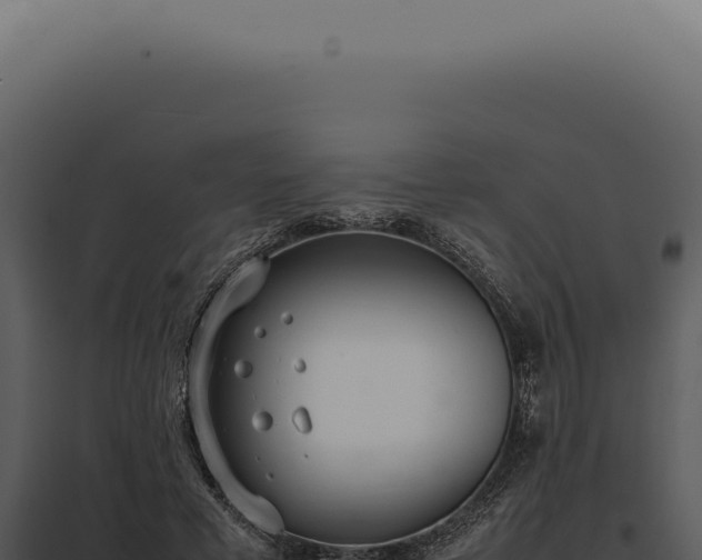 X0000097980593200804011746
