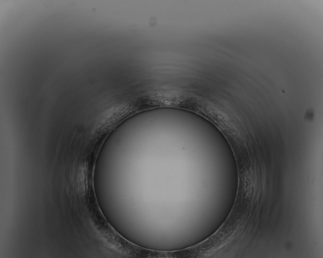 X0000097980594200804011746