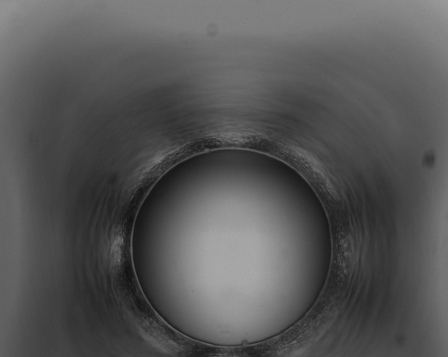 X0000097980596200804011746