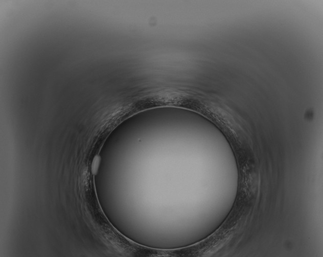 X0000097980597200804011746