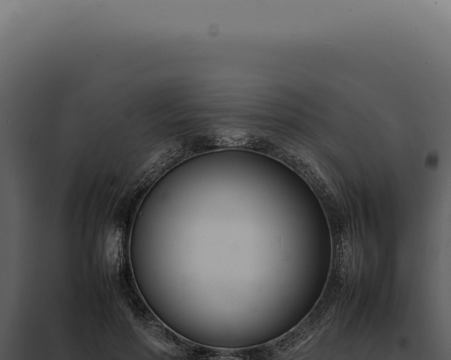 X0000097980598200804011746