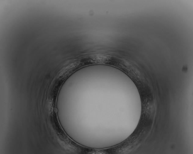 X0000097980599200804011746