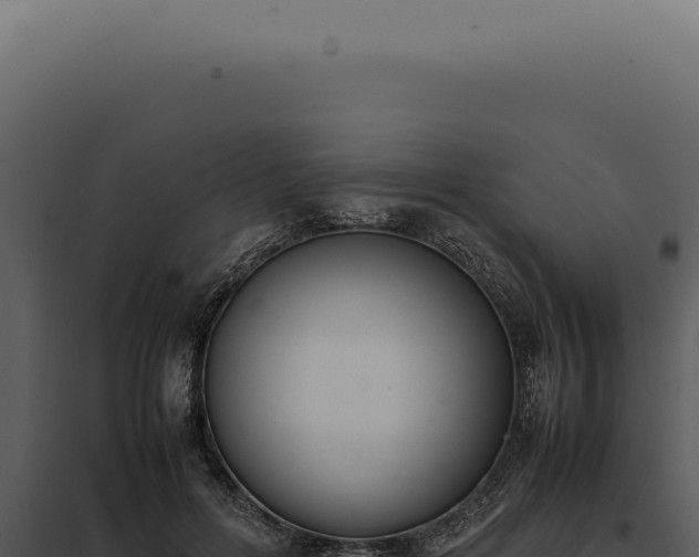 X0000097980600200804011746