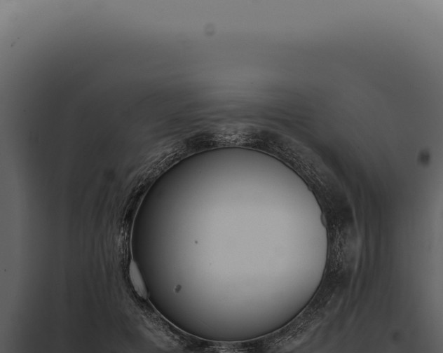 X0000097980601200804011746