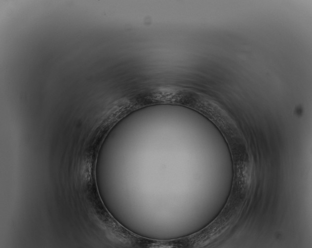 X0000097980602200804011746