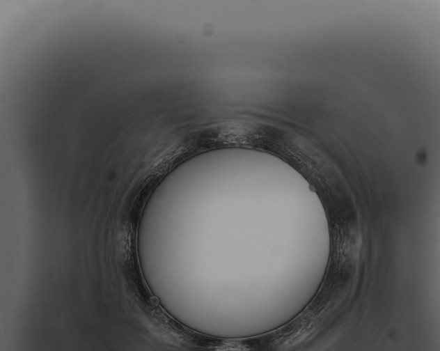 X0000097980603200804011746